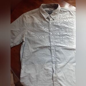 Rumours Collared Med/Large